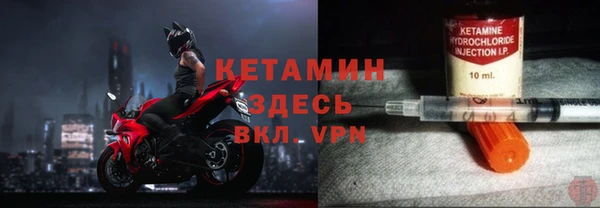 шишки Дубовка