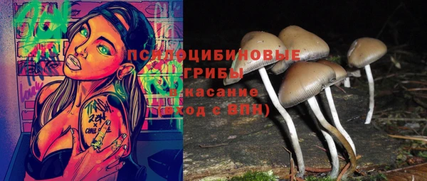наркотики Алексин