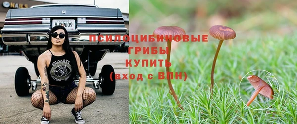 сатива Сатка